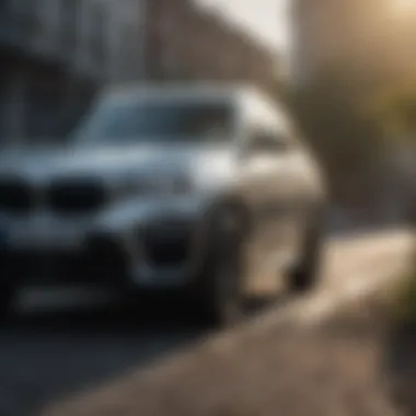 Notable Comprehensive Analysis of the BMW X3 X Line