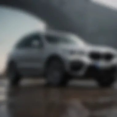 Comprehensive Analysis of the BMW X3 X Line Summary