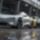 Diverse electric vehicle models lined up for comparison