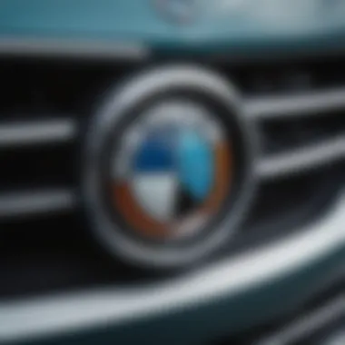 Close-up shot of BMW's iconic kidney grille highlighting craftsmanship and attention to detail