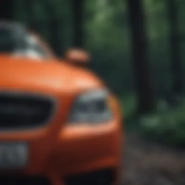Nature's Test: Durability of Liquid Ceramic Coating A well-maintained car showcasing the durability of ceramic coating under environmental elements.