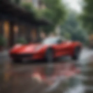 Market Insights: The Stingray in Automotive Landscape Market positioning of the Stingray in the automotive industry