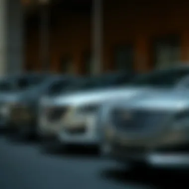 A range of Cadillac models line up displaying design variations